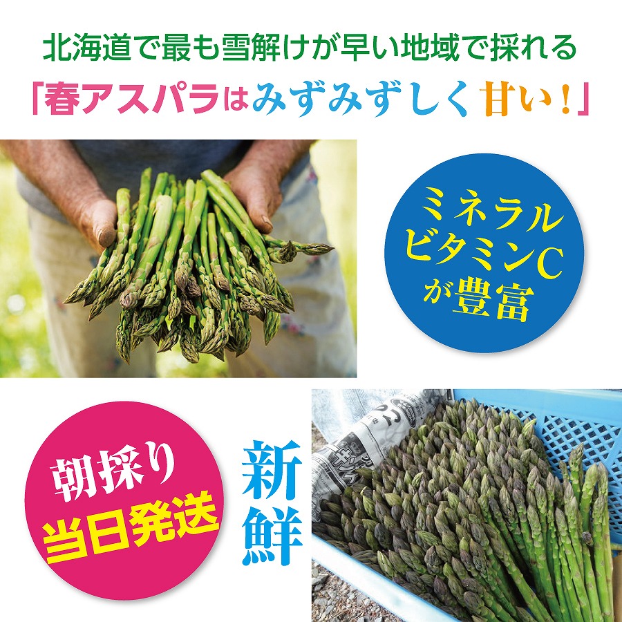 【2026年春発送】北海道上ノ国町産 刀祢農園の春アスパラ　M～L（800g） 北海道産　朝採れ　農家町送　グリーンアスパラ　春野菜　アスパラ　甘い　特産品