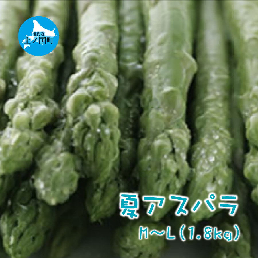 【2025年夏発送】北海道上ノ国町産 朝採り当日発送 刀祢農園の夏アスパラ　M～L（1.8kg）