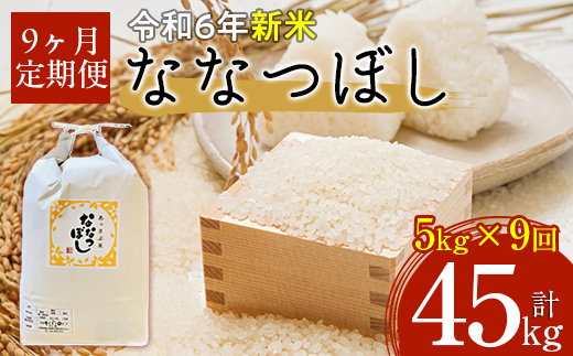 【令和6年産 新米】北海道厚沢部産ななつぼし45kg（5kg×9ヶ月連続お届け） ASG020