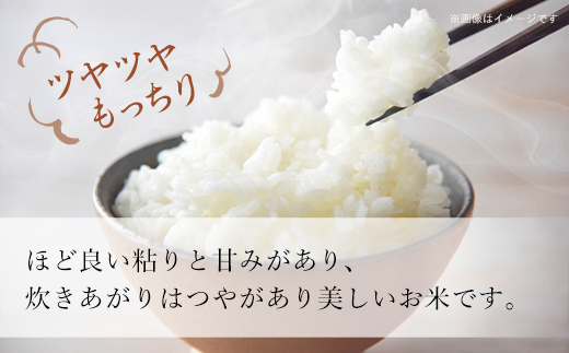 【令和6年産 新米】北海道厚沢部産ななつぼし60kg（5kg×12ヶ月連続お届け） ASG021