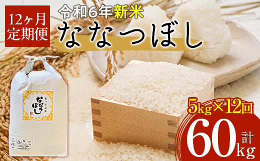 【令和6年産 新米】北海道厚沢部産ななつぼし60kg（5kg×12ヶ月連続お届け） ASG021