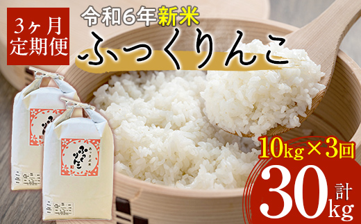 【令和6年産 新米】北海道厚沢部産ふっくりんこ30kg（10kg×3ヶ月連続お届け） ASG034