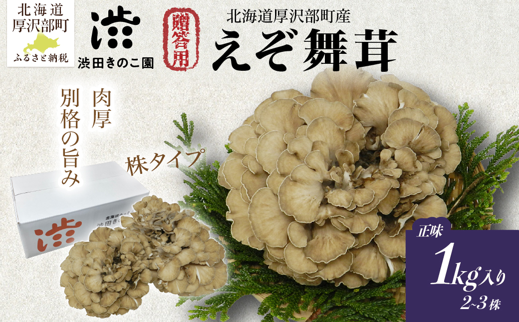 北海道厚沢部町産 贈答用えぞ舞茸（株タイプ）正味1kg入り（2〜3株） ASM007
