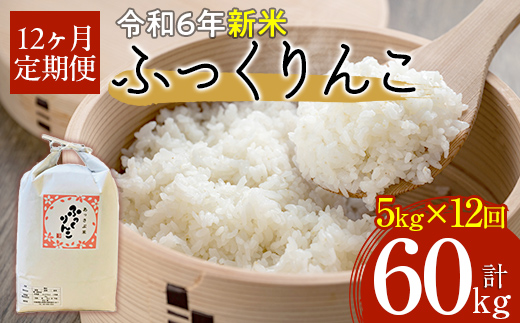 【令和6年産 新米】北海道厚沢部産ふっくりんこ60kg（5kg×12ヶ月連続お届け） ASG033