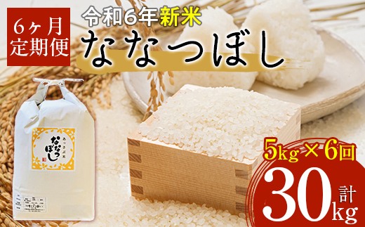 【令和6年産 新米】北海道厚沢部産ななつぼし30kg（5kg×6ヶ月連続お届け） ASG019