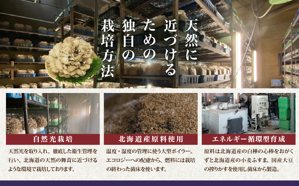 厚沢部の極み 肉厚えぞ舞茸 ご家庭用（バラタイプ）500g×8個 北海道厚沢部町産 ASM003