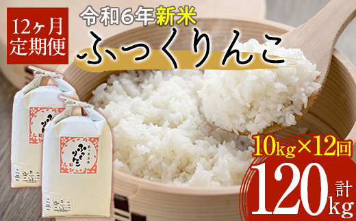 【令和6年産 新米】北海道厚沢部産ふっくりんこ120kg（10kg×12ヶ月連続お届け） ASG037