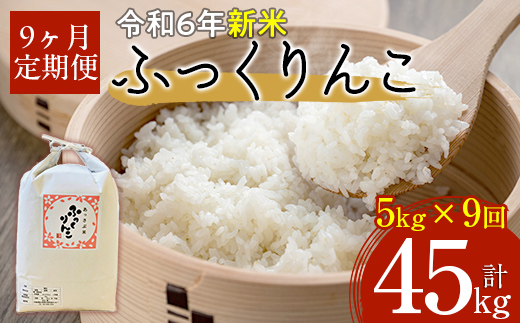 【令和6年産 新米】北海道厚沢部産ふっくりんこ45kg（5kg×9ヶ月連続お届け） ASG032