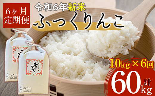 【令和6年産 新米】北海道厚沢部産ふっくりんこ60kg（10kg×6ヶ月連続お届け） ASG035