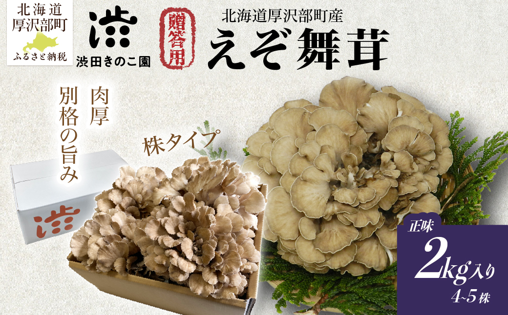 北海道厚沢部町産 贈答用えぞ舞茸（株タイプ）正味2kg入り（4〜5株） ASM008