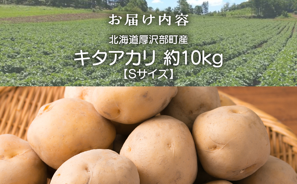 【2026年9月下旬より発送】北海道厚沢部町産 キタアカリ 約10㎏【Sサイズ】 ASO030