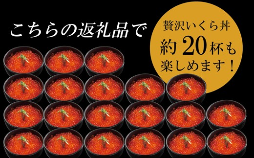 【数量限定】＜いくら醤油漬　２パック（500g×２）１kg＞鮮度にこだわる「笹谷商店」の絶品の醤油タレで漬けたいくら（検索：いくら イクラ 鮭いくら 鮭イクラ 醤油いくら 醤油イクラ いくら醤油漬け イクラ醤油漬け 醤油漬 いくら丼 秋鮭 国産 北海道産 北海道乙部町 日本海 冷凍 人気 訳あり 定額減税 使い道 ふるさと納税）