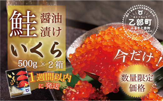 【数量限定 特別価格】＜いくら醤油漬　２パック（500g×２）１kg＞鮮度にこだわる「笹谷商店」の絶品の醤油タレで漬けたいくら（検索：いくら イクラ 鮭いくら 鮭イクラ 醤油いくら 醤油イクラ いくら醤油漬け イクラ醤油漬け 醤油漬 いくら丼 秋鮭 国産 北海道産 北海道乙部町 日本海 冷凍 人気 訳あり 定額減税 使い道 ふるさと納税）