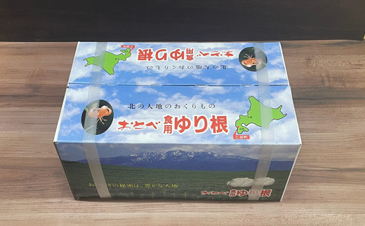 【予約受付中！12月上旬頃発送予定】＜乙部町特産　ゆり根＞しっとり上品な味わいの栄養満点な冬の味覚