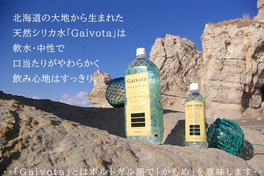 ＜Gaivota　2箱（500ml×24本/箱)＞北のハイグレード食品 天然シリカ水  ミネラルウォーター  軟水 北海道産 北海道 乙部町 天然水 美容 ケイ素 無添加 シリカ ガイヴォータ 美肌 ミネラル 口当たり まろやか 備蓄 災害用 非常用