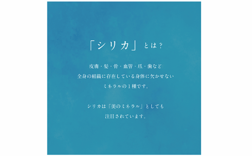 ＜Gaivota炭酸水 1箱(300ml×12本/箱)＞北のハイグレード食品 天然シリカ 炭酸水 北海道 乙部町 ミネラルウォーター 水 炭酸水 天然シリカ水 スパークリング 軟水 美容 ケイ素 無添加 美のミネラル シリカ ガイヴォータ 美肌 ミネラル