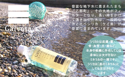 ＜Gaivota」1箱（500ml×24本/箱）+1箱（2L×6本/箱＞　北のハイグレード食品　北海道乙部町の天然シリカ水