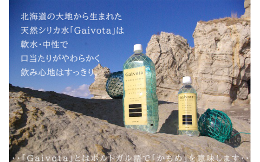 ＜定期便　Gaivota2箱（500ml×48本）×６回＞北のハイグレード食品 天然シリカ水 シリカ水 ミネラルウォーター シリカウォーター 軟水  北海道 乙部町 天然水 美容 ケイ素 無添加  シリカ ガイヴォータ 美肌 ミネラル リピーター 6か月 備蓄 災害用 非常用