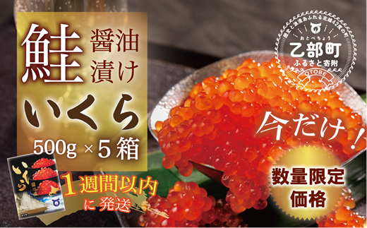 【数量限定 特別価格】＜いくら醤油漬　５パック（500ｇ×５）２.５ｋｇ＞鮮度にこだわる「笹谷商店」の絶品の醤油タレで漬けたいくら（検索：いくら イクラ 鮭いくら 鮭イクラ 醤油いくら 醤油イクラ いくら醤油漬け イクラ醤油漬け 醤油漬 いくら丼 秋鮭 国産 北海道産 北海道乙部町 日本海 冷凍 人気 訳あり 定額減税 使い道 ふるさと納税）