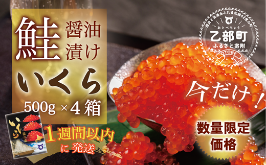 【数量限定 特別価格】＜いくら醤油漬　４パック（500ｇ×４）２ｋｇ＞鮮度にこだわる「笹谷商店」の絶品の醤油タレで漬けたいくら（検索：いくら イクラ 鮭いくら 鮭イクラ 醤油いくら 醤油イクラ いくら醤油漬け イクラ醤油漬け 醤油漬 いくら丼 秋鮭 国産 北海道産 北海道乙部町 日本海 冷凍 人気 訳あり 定額減税 使い道 ふるさと納税）