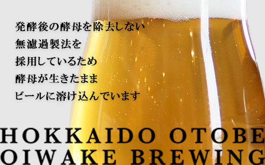 ＜OTOBEEAN-オトビアン　IPA　3本セット＞　クラフトビール　330ml