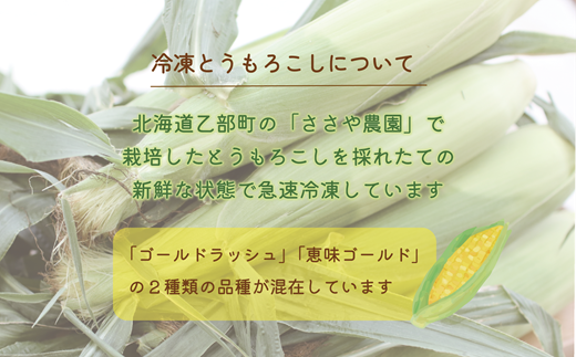 ＜ささや農園産 極★凍結とうもろこし 12本＞北海道 道産 国産 乙部町 とうもろこし とうきび 冷凍 急速冷凍 鮮度そのまま 甘さ 糖度 個包装 ゴールドラッシュ 恵味ゴールド