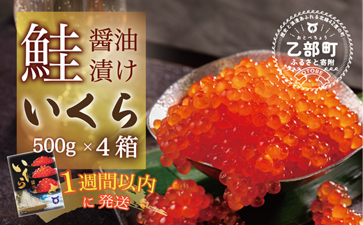 【数量限定】＜いくら醤油漬　４パック（500ｇ×４）２ｋｇ＞鮮度にこだわる「笹谷商店」の絶品の醤油タレで漬けたいくら（検索：いくら イクラ 鮭いくら 鮭イクラ 醤油いくら 醤油イクラ いくら醤油漬け イクラ醤油漬け 醤油漬 いくら丼 秋鮭 国産 北海道産 北海道乙部町 日本海 冷凍 人気 訳あり 定額減税 使い道 ふるさと納税）