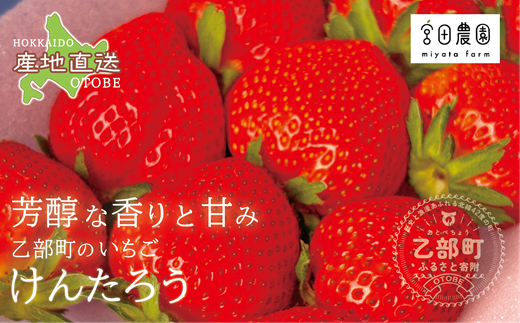 【予約受付中！5月上旬頃発送予定！】＜けんたろういちご 12粒＞湧水で育て上げた北の高級いちご 北海道 北海道産 道産 いちご 苺 イチゴ けんたろう 贈物 贈り物 プレゼント