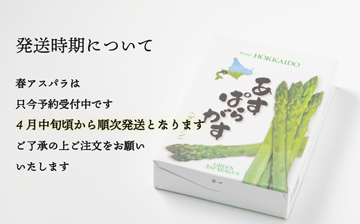 【予約受付中！4月中旬頃発送予定】＜北海道産 春採れグリーンアスパラ 3㎏＞ 甘さ広がる春の味覚！ 北海道 北海道産 国産 産地直送 乙部町 旬 新鮮 採れたて 農家直送 あすぱら アスパラガス 野菜 冷蔵配送 L以上 お取り寄せ 送料無料