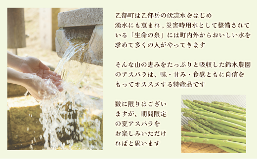 【予約受付中】＜北海道産 夏採れグリーンアスパラ 1㎏＞シャッキリみずみずしい味わい！！ 北海道 北海道産 国産 産地直送 乙部町 旬 新鮮 農家直送 あすぱら アスパラガス 野菜 冷蔵配送 L以上 お取り寄せ 送料無料