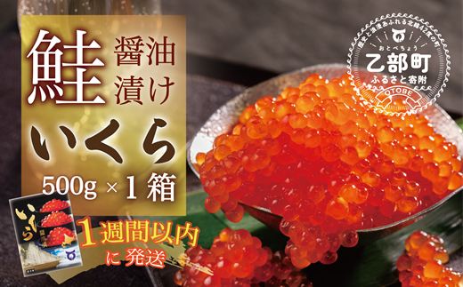 【数量限定】＜いくら醤油漬　1パック（500ｇ）＞鮮度にこだわる「笹谷商店」の絶品の醤油タレで漬けたいくら（検索：いくら イクラ 鮭いくら 鮭イクラ 醤油いくら 醤油イクラ いくら醤油漬け イクラ醤油漬け 醤油漬 いくら丼 秋鮭 国産 北海道産 北海道乙部町 日本海 冷凍 人気 訳あり 定額減税 使い道 ふるさと納税）