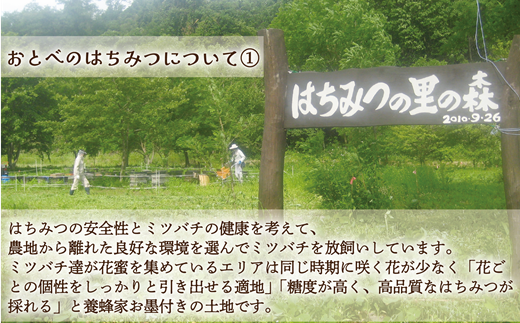 ＜おとべのはちみつ アカシア・トチ 500g×各1本＞北海道 道産 北海道産 天然 非加熱 アカシア アカシア蜜 トチ蜜 トチ クセなし 単花蜜 生はちみつ はちみつ ハチミツ 蜂蜜 おとべのはちみつ