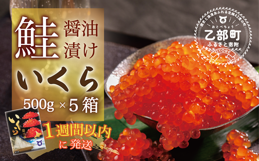 【数量限定】＜いくら醤油漬　５パック（500ｇ×５）２.５ｋｇ＞鮮度にこだわる「笹谷商店」の絶品の醤油タレで漬けたいくら（検索：いくら イクラ 鮭いくら 鮭イクラ 醤油いくら 醤油イクラ いくら醤油漬け イクラ醤油漬け 醤油漬 いくら丼 秋鮭 国産 北海道産 北海道乙部町 日本海 冷凍 人気 訳あり 定額減税 使い道 ふるさと納税）