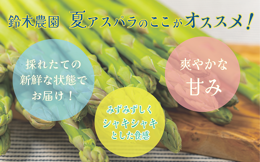 【予約受付中】＜北海道産 夏採れグリーンアスパラ 1㎏＞シャッキリみずみずしい味わい！！ 北海道 北海道産 国産 産地直送 乙部町 旬 新鮮 農家直送 あすぱら アスパラガス 野菜 冷蔵配送 L以上 お取り寄せ 送料無料