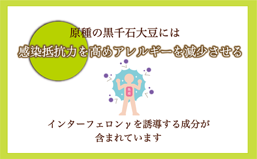 ＜豆ごはんの素　1袋＞北海道 道産 乙部町 乙部町産 大豆 国産 国産大豆 黒千石大豆 黒千石 原種 アントシアニン ポリフェノール 簡単 豆ごはん 小分け包装