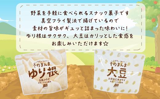 ＜ゆり根フライ・大莢白乙女フライ 2個(各1個)セット＞北海道 北海道産 ゆり根 大莢白乙女 大豆 フライ そのまんま そのまんまシリーズ