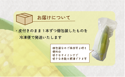 ＜ささや農園産 極★凍結とうもろこし 6本＞北海道 道産 国産 乙部町 とうもろこし とうきび 冷凍 急速冷凍 鮮度そのまま 甘さ 糖度 個包装 ゴールドラッシュ 恵味ゴールド