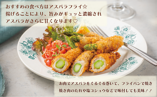 【予約受付中】＜北海道産 夏採れグリーンアスパラ 1㎏＞シャッキリみずみずしい味わい！！ 北海道 北海道産 国産 産地直送 乙部町 旬 新鮮 農家直送 あすぱら アスパラガス 野菜 冷蔵配送 L以上 お取り寄せ 送料無料
