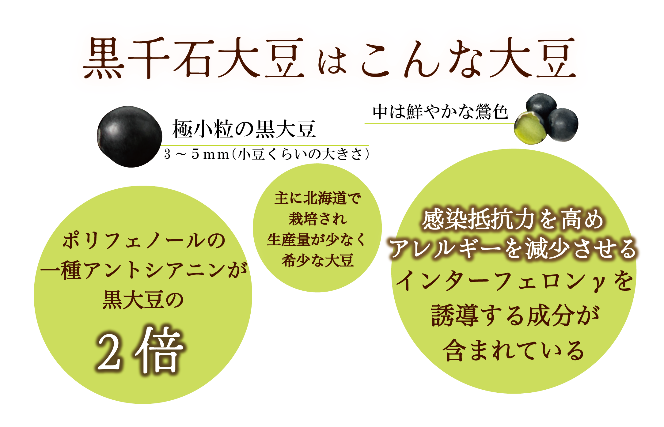 ＜豆ごはんの素　5袋＞北海道産黒千石大豆　簡単美味しい！お米と一緒に炊くだけ！