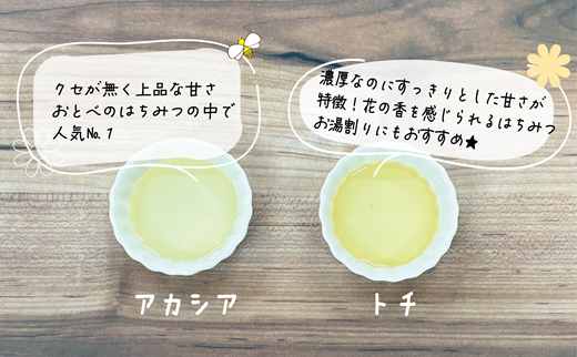 ＜おとべのはちみつ アカシア・トチ 500g×各1本＞北海道 道産 北海道産 天然 非加熱 アカシア アカシア蜜 トチ蜜 トチ クセなし 単花蜜 生はちみつ はちみつ ハチミツ 蜂蜜 おとべのはちみつ