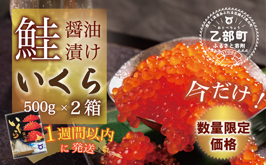 【数量限定 特別価格】＜いくら醤油漬　２パック（500g×２）１kg＞鮮度にこだわる「笹谷商店」の絶品の醤油タレで漬けたいくら（検索：いくら イクラ 鮭いくら 鮭イクラ 醤油いくら 醤油イクラ いくら醤油漬け イクラ醤油漬け 醤油漬 いくら丼 秋鮭 国産 北海道産 北海道乙部町 日本海 冷凍 人気 訳あり 定額減税 使い道 ふるさと納税）