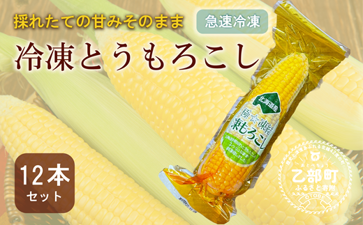 ＜ささや農園産 極★凍結とうもろこし 12本＞北海道 道産 国産 乙部町 とうもろこし とうきび 冷凍 急速冷凍 鮮度そのまま 甘さ 糖度 個包装 ゴールドラッシュ 恵味ゴールド