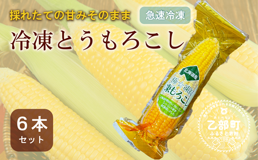 ＜ささや農園産 極★凍結とうもろこし 6本＞北海道 道産 国産 乙部町 とうもろこし とうきび 冷凍 急速冷凍 鮮度そのまま 甘さ 糖度 個包装 ゴールドラッシュ 恵味ゴールド