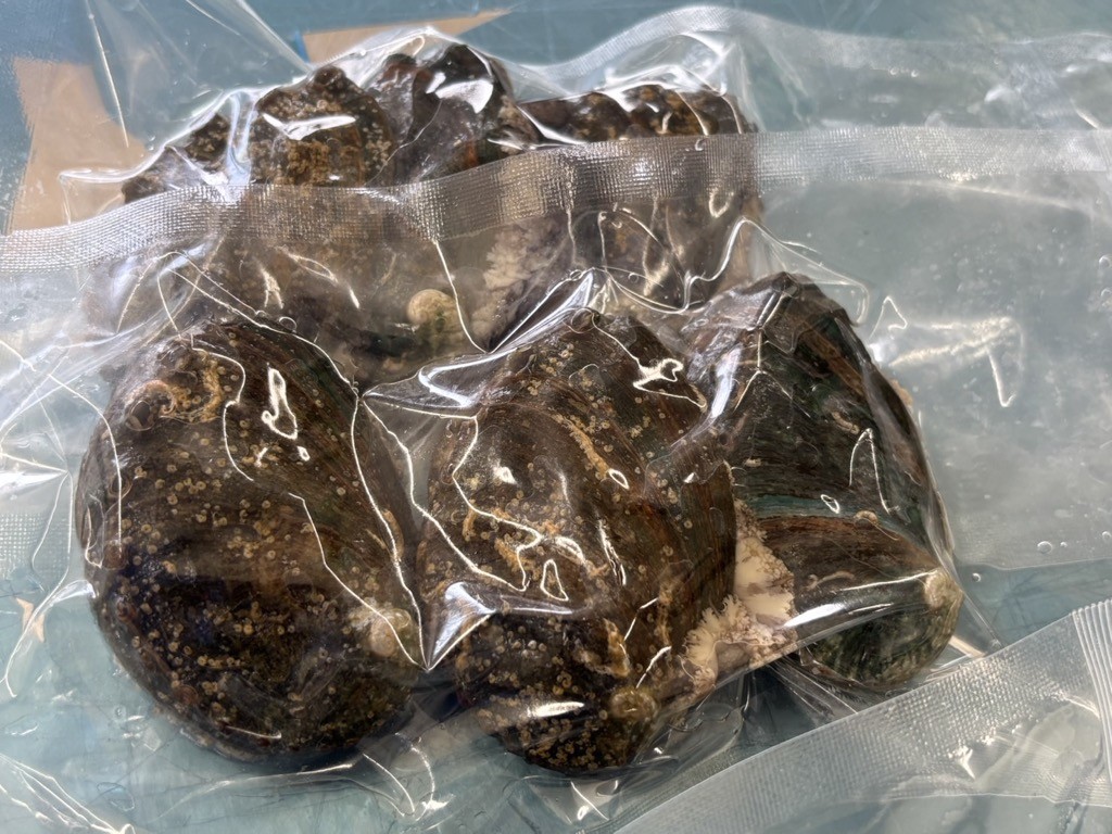 螂・蟆サ蟲カ逕」縲蜀キ蜃埼、頑ョ悶い繝ッ繝鏑繧オ繧、繧コシ3蛟句・繧奇シ OKUF018