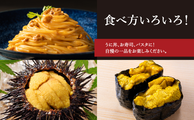 【2026年7月上旬頃より順次発送】北海道奥尻産「キタムラサキウニ」500g (100g×5パック) 塩水パック【期日指定不可】 | 冷蔵 | 北海道 奥尻町 送料無料 OKS06-008
