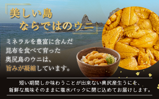 【2025年度先行予約】北海道奥尻産「キタムラサキウニ」500g （100g×5） (塩水パック)【期日指定不可】 OKUH013