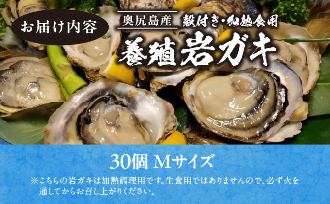 縲仙郁。御コ育エ 2026蟷エ7譛20譌・繧医j逋コ騾√大・・蟆サ蟲カ逕」鬢頑ョ門イゥ繧ャ繧ュ縲信繧オ繧、繧コ縲第ョサ莉倥″ 30蛟句・繧奇シ亥刈辭ア鬟溽畑シ峨懆ア翫°縺ェ豬キ縺瑚ご縺ヲ縺滓オキ縺ョ螳晉浹縲 | 蜀キ阡オ | 蛹玲オキ驕 螂・蟆サ逕コ 騾∵侭辟。譁 OKS13-005