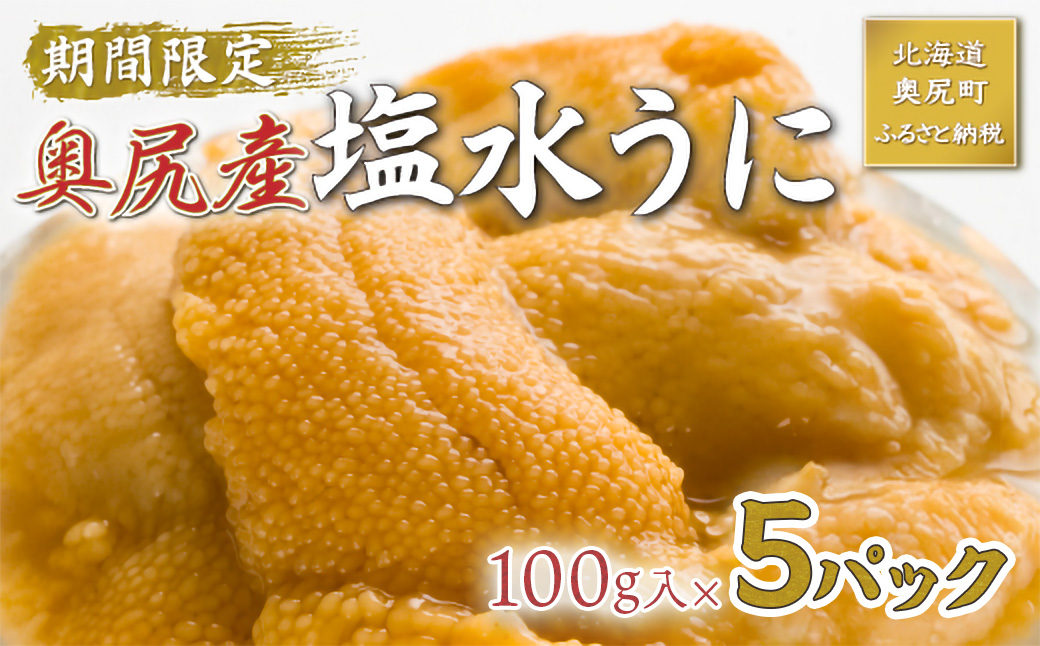 【2026年7月上旬頃より順次発送】北海道奥尻産「キタムラサキウニ」100g×5パック (塩水パック)【期日指定不可】 OKUH013