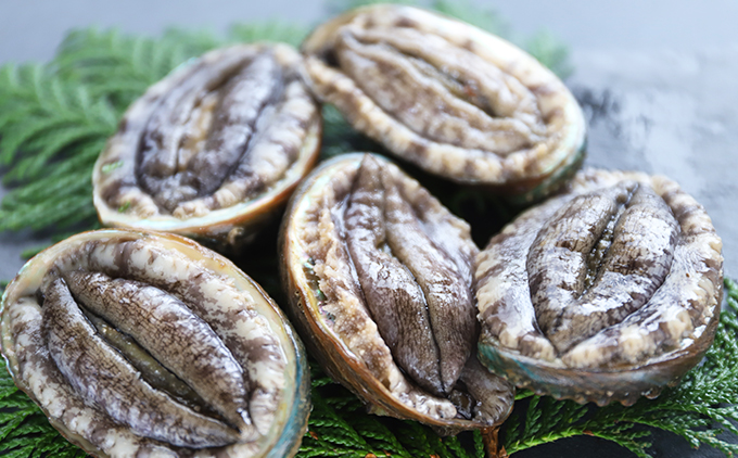 螂・蟆サ蟲カ逕」 豢サ陜ヲ螟キ繧「繝ッ繝難シ磯、頑ョ厄シ5蛟句・繧 70mm莉・荳 | 蛹玲オキ驕 螂・蟆サ逕コ 騾∵侭辟。譁