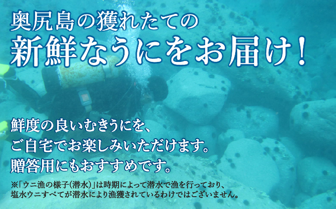 【2026年7月上旬頃より順次発送】北海道奥尻産「キタムラサキウニ」500g (100g×5パック) 塩水パック【期日指定不可】 | 冷蔵 | 北海道 奥尻町 送料無料 OKS06-008